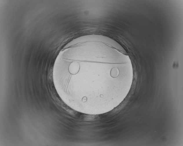 X0000110890096200907301553