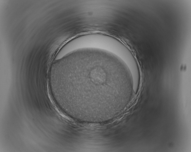 X0000110890097200907301552