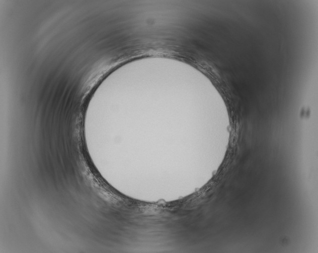 X0000110890098200907301552