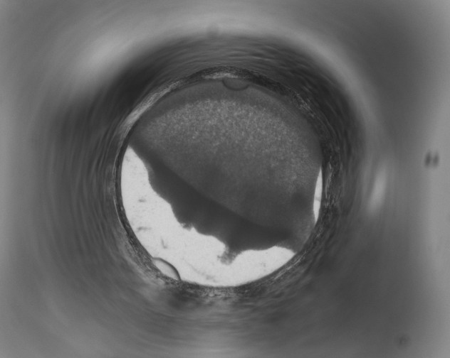 X0000110890099200907301552