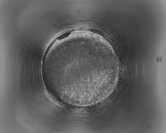 X0000110890100200907301552