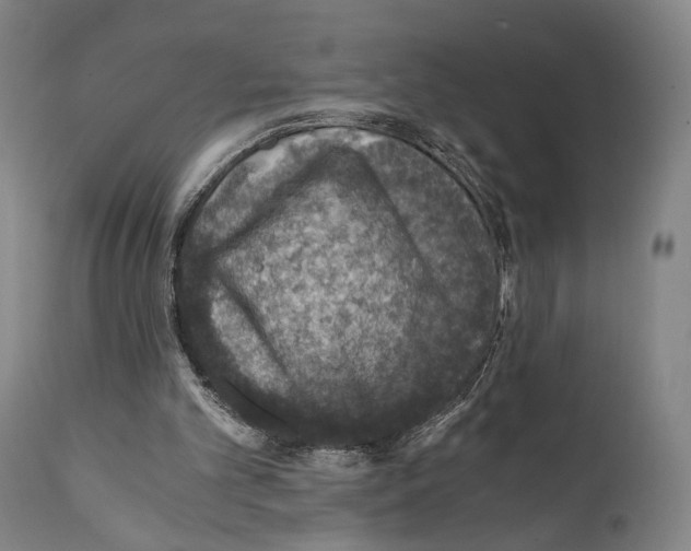 X0000110890101200907301552