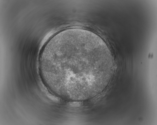 X0000110890102200907301552