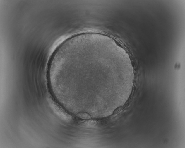 X0000110890104200907301552