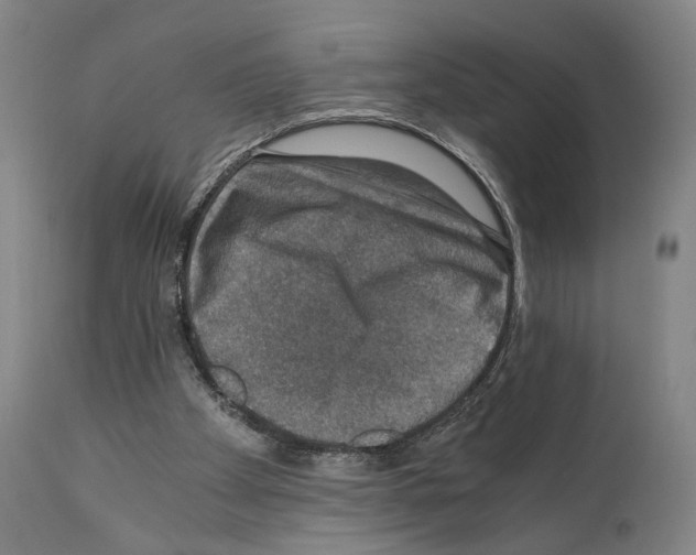 X0000110890105200907301552