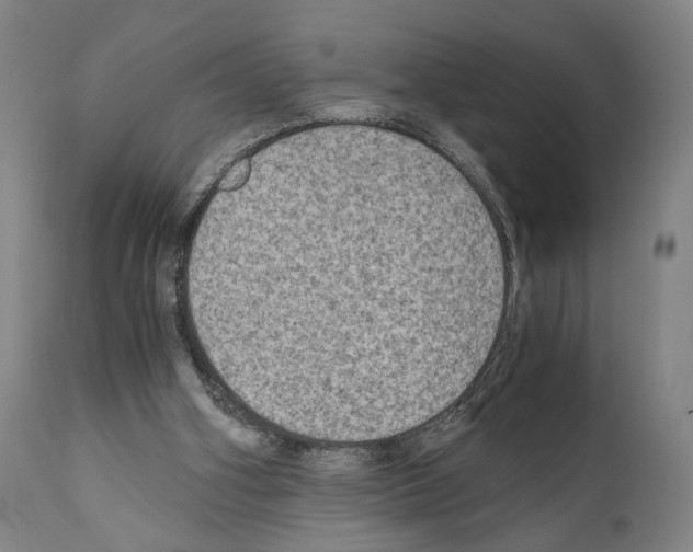 X0000110890106200907301552
