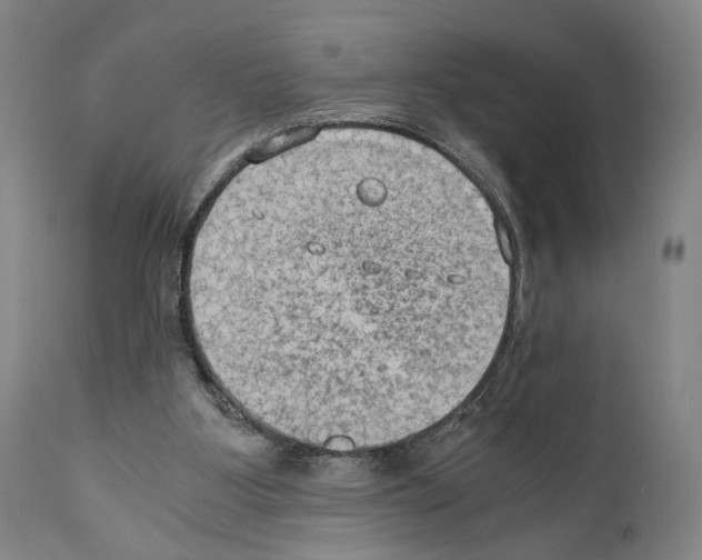 X0000110890107200907301552