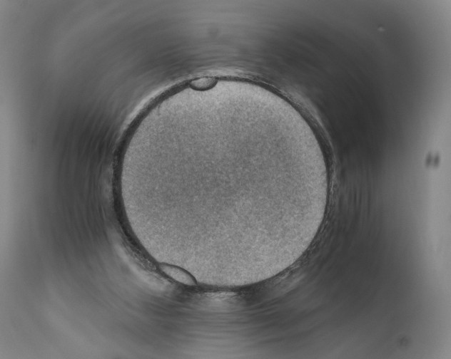 X0000110890108200907301552