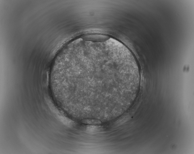 X0000110890109200907301552