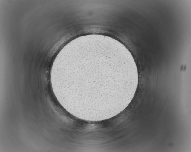 X0000110890111200907301552