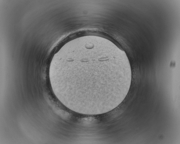 X0000110890112200907301552