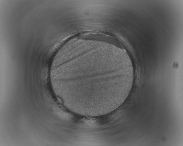 X0000110890113200907301552
