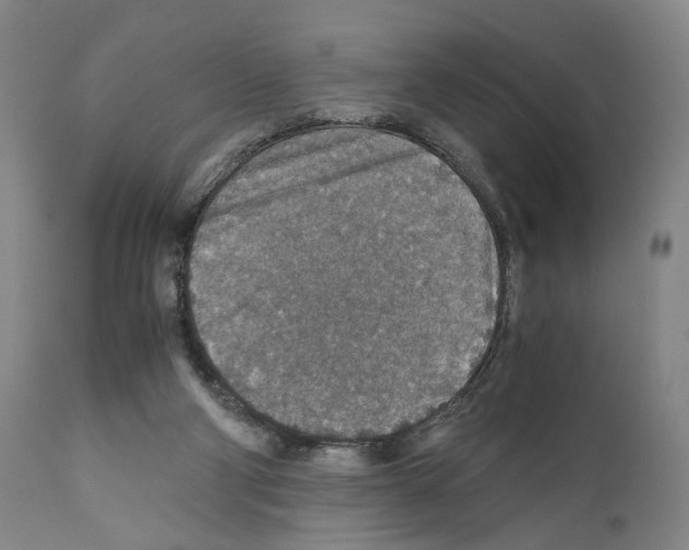 X0000110890114200907301552
