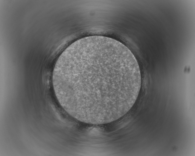 X0000110890115200907301552