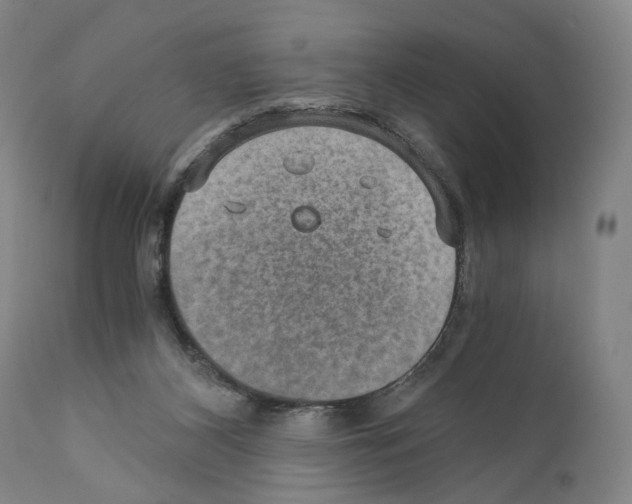 X0000110890116200907301552