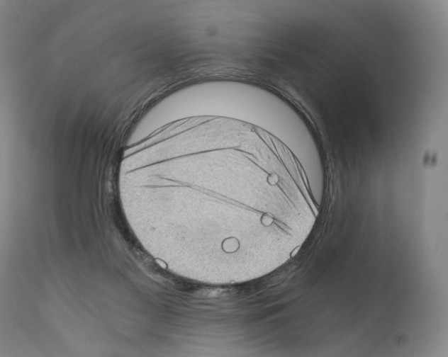 X0000110890117200907301552