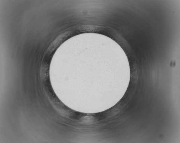 X0000110890119200907301552