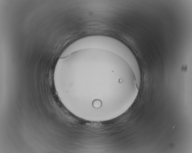 X0000110890121200907301552