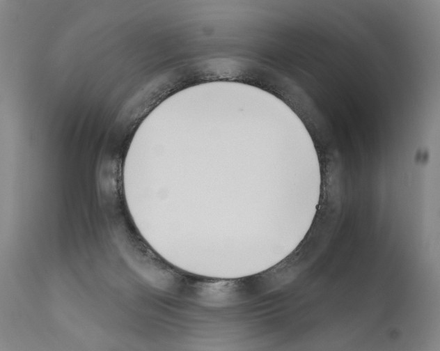 X0000110890122200907301552