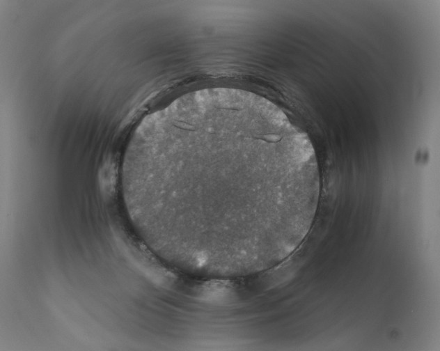 X0000110890124200907301552