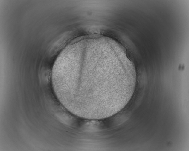 X0000110890125200907301552