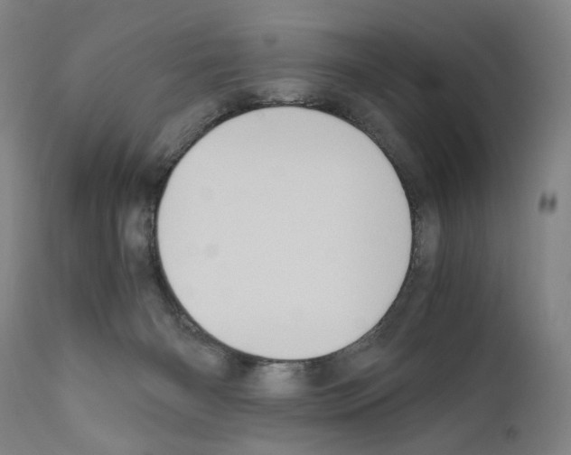 X0000110890126200907301552