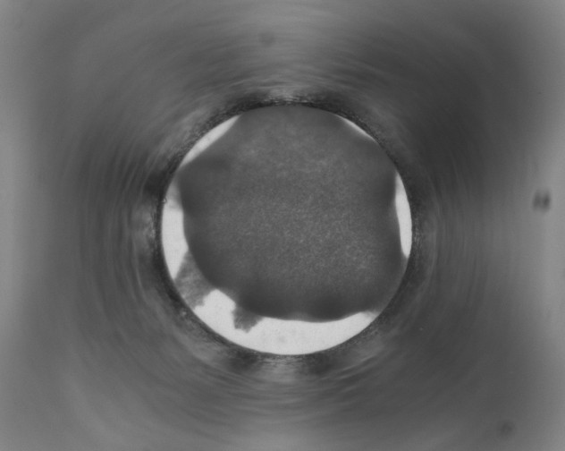 X0000110890127200907301552