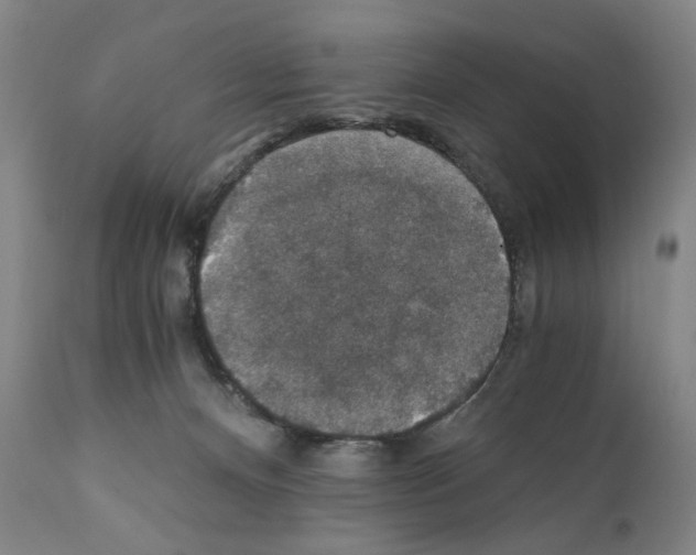 X0000110890128200907301552