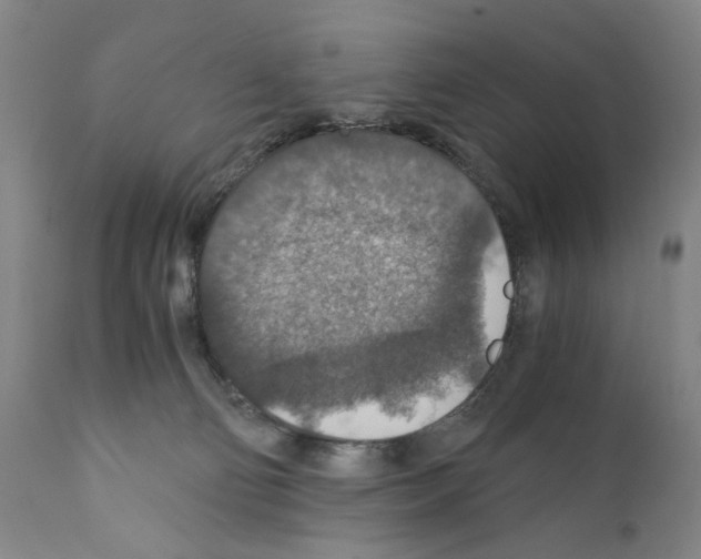 X0000110890130200907301552