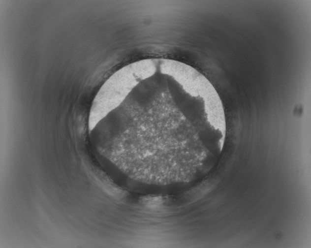 X0000110890131200907301552