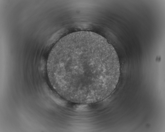X0000110890132200907301552