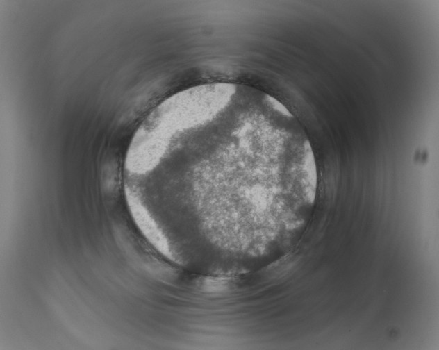 X0000110890134200907301552