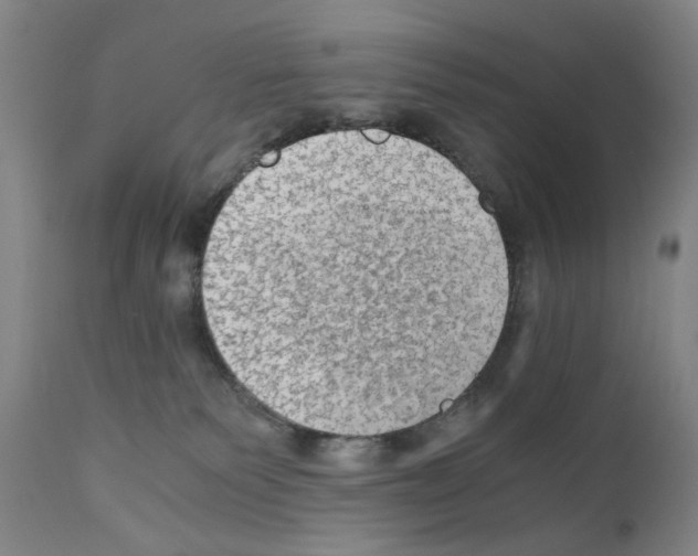 X0000110890135200907301552