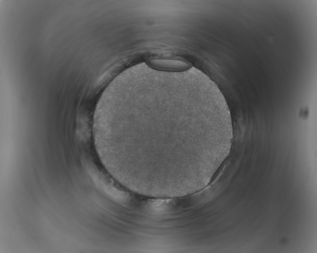 X0000110890136200907301552