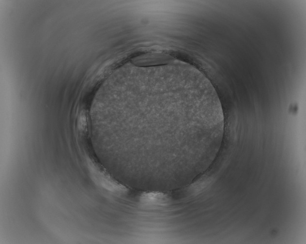 X0000110890137200907301552