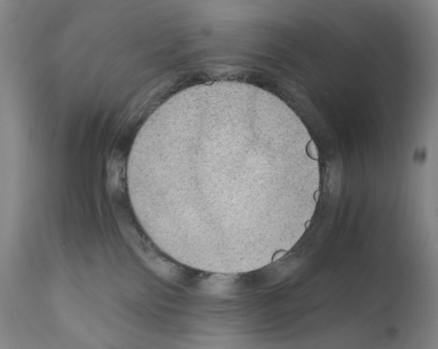 X0000110890138200907301552