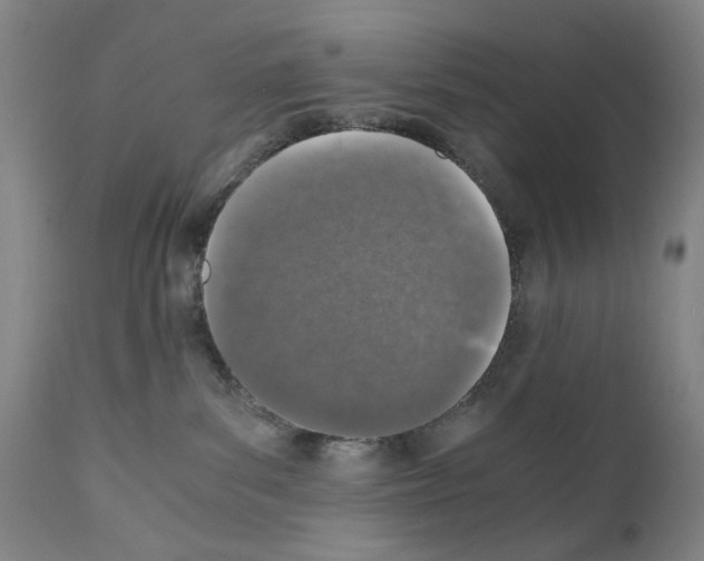 X0000110890139200907301552
