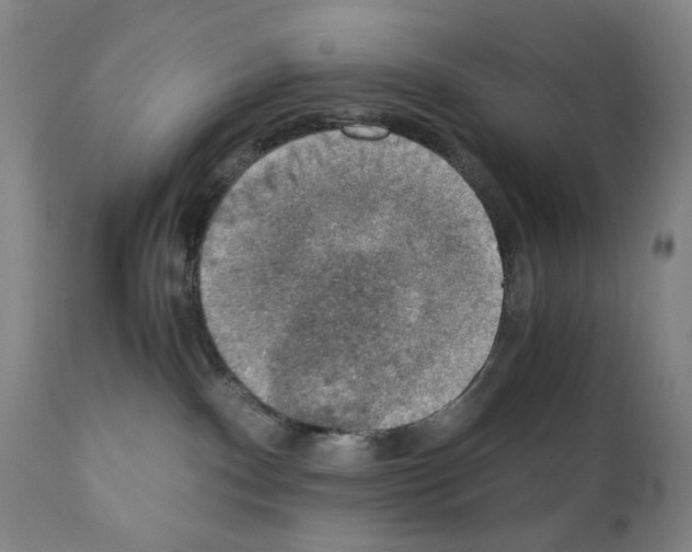 X0000110890140200907301552