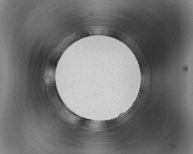 X0000110890142200907301551