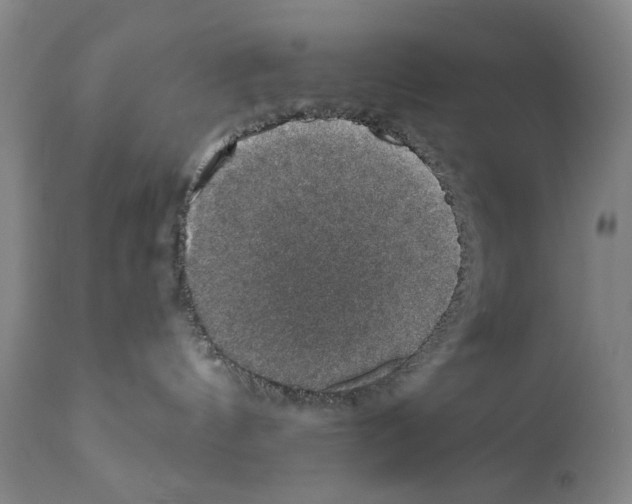 X0000110890144200907301551