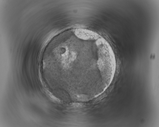 X0000110890145200907301551