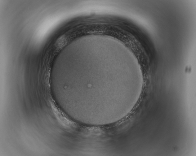 X0000110890146200907301551