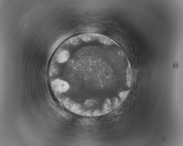 X0000110890147200907301551