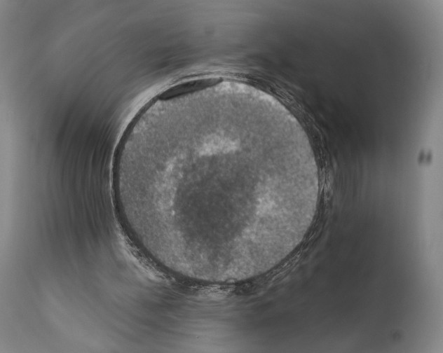 X0000110890148200907301551