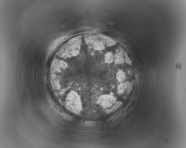 X0000110890149200907301551