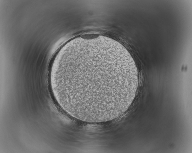 X0000110890150200907301551