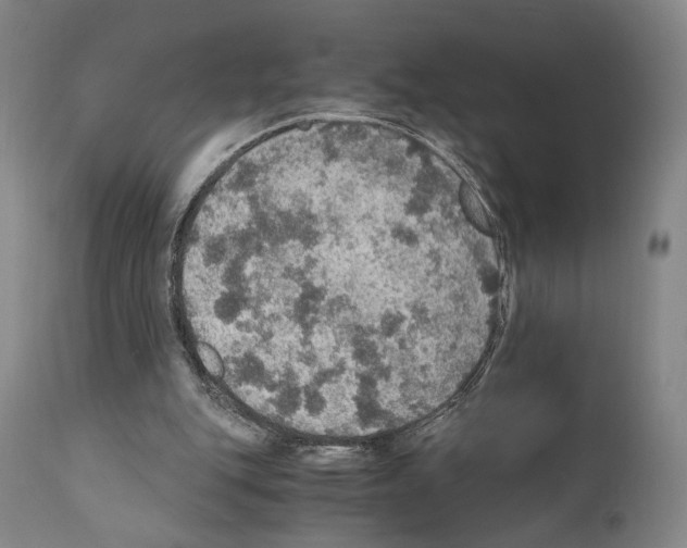 X0000110890151200907301551