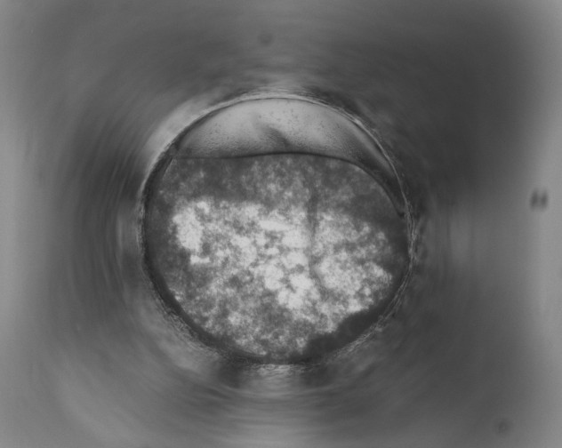X0000110890152200907301551