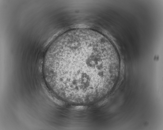 X0000110890153200907301551