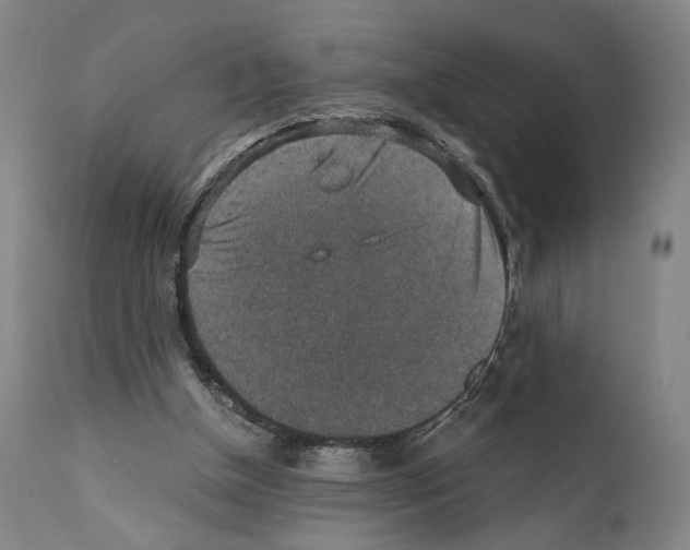 X0000110890154200907301551